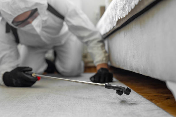 Professional Pest Control technician working in Akron, CO