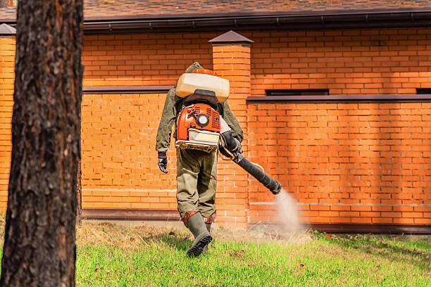 Trusted Cockroach Control service in Akron, CO - Nex Pest Control